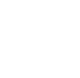 Lion Estates Development Logo