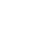 Lion Estates Development Logo